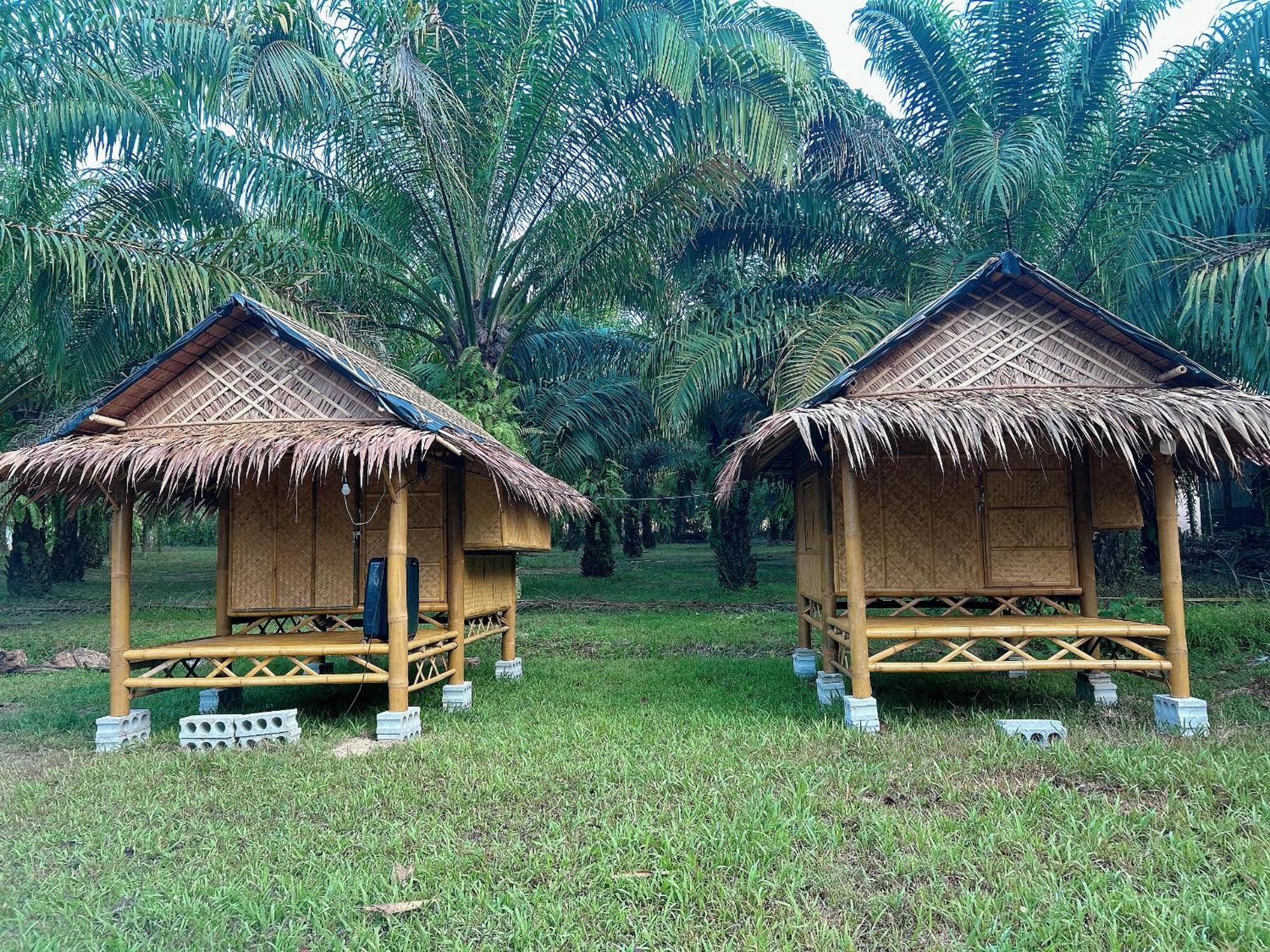 Khaosok August Freedom Camp Hotell Khao Sok National Park Exteriör bild
